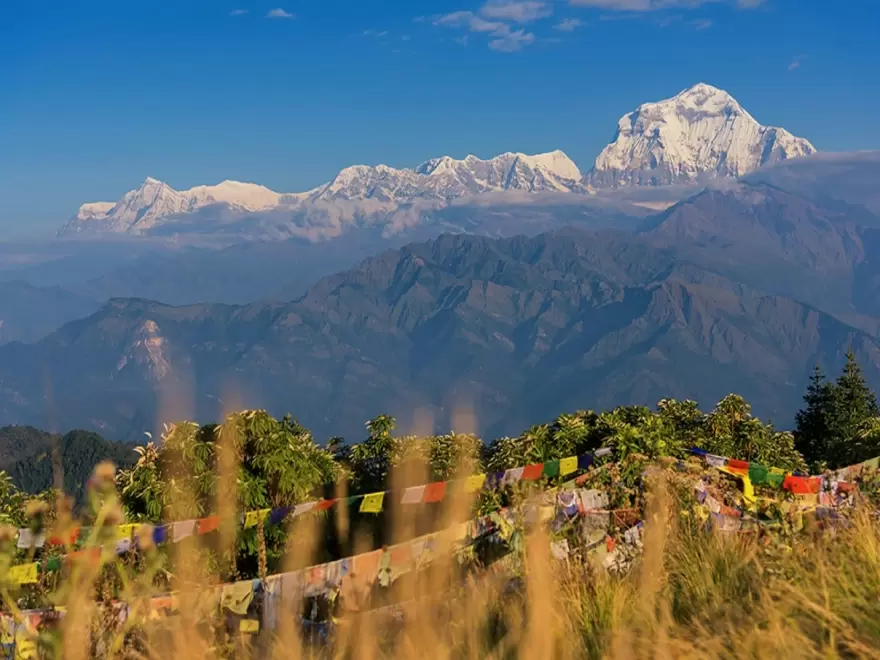 Ghorepani Poon Hill Trekking