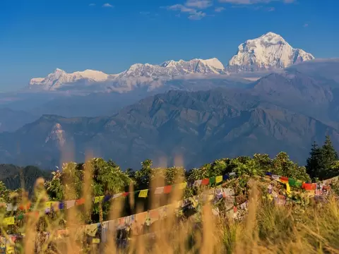 Ghorepani Poon Hill Trekking